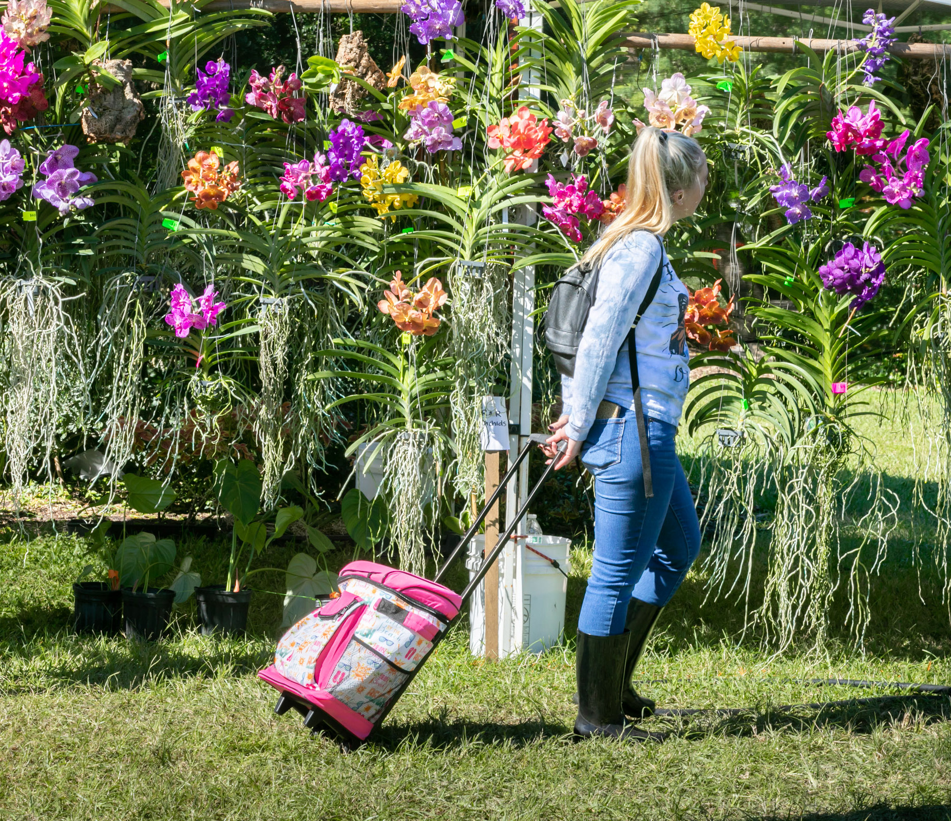 Spring Plant Sale – April 26-27 (Photo Credit: Premier Photo/Jacek Gancarz) image
